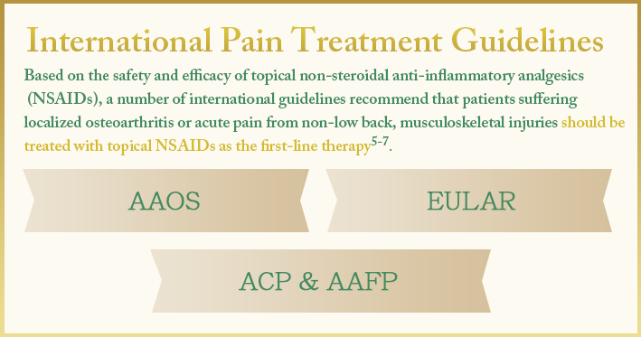 International Pain Treatment Guidelines